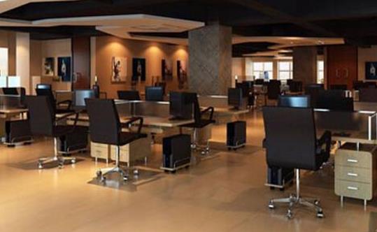 Feng Shui arrangement for office success