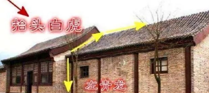 Green Dragon and White Tiger Feng Shui