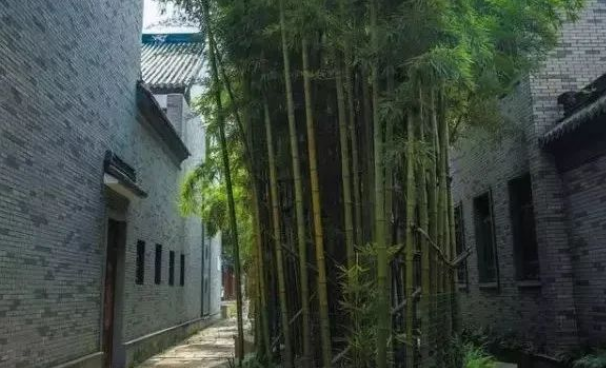 bamboo forest feng shui