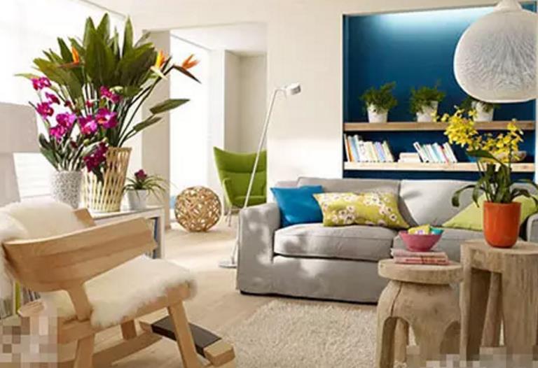 Feng Shui Master tells you what kind of home Feng Shui is the most profitable!