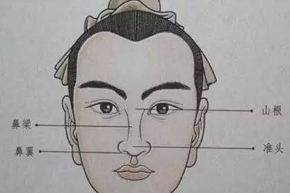 Face Reading Analysis Image